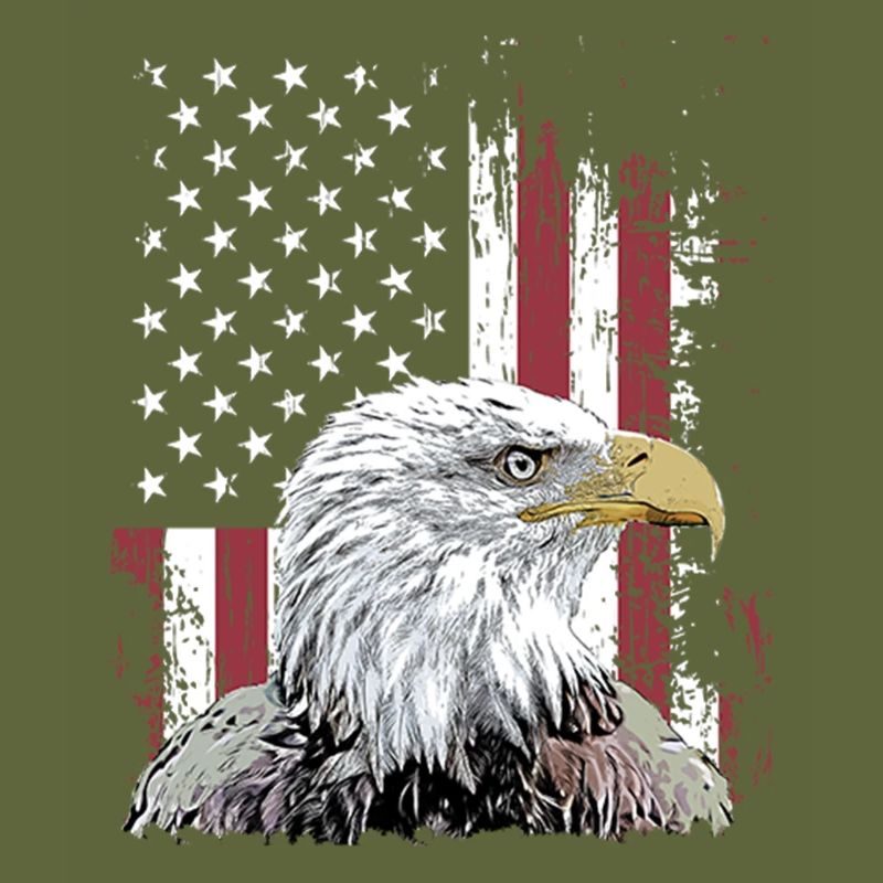 Independence Eagle American Flag Eagle