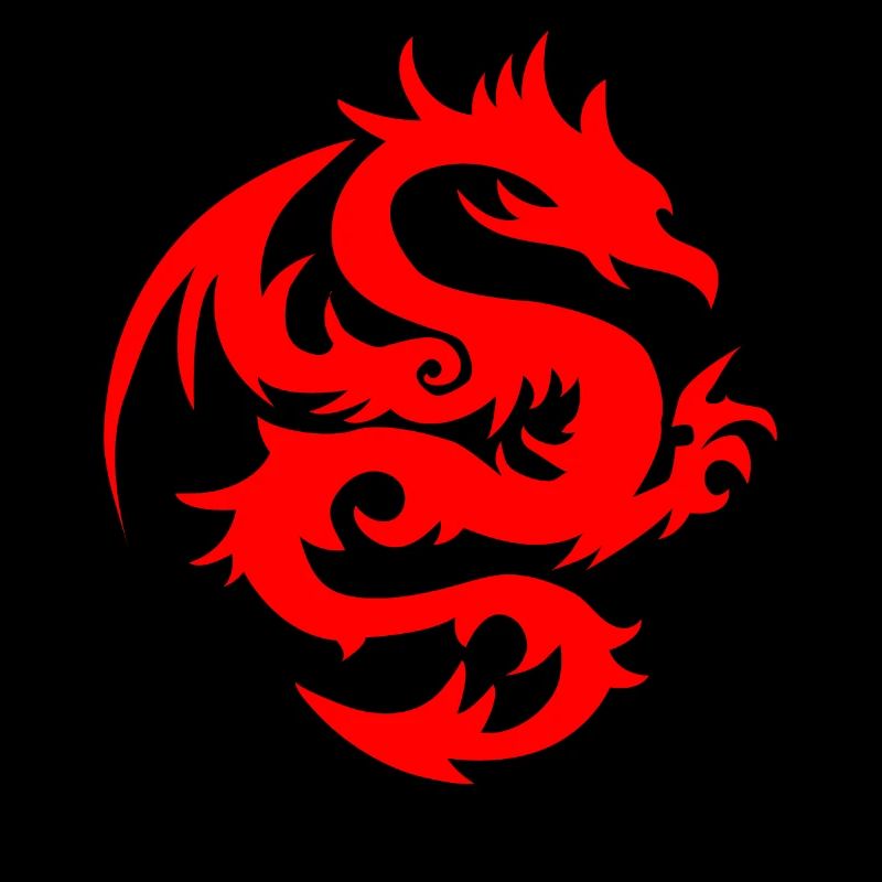 mit chinesischen Drachen chinesischem Drache