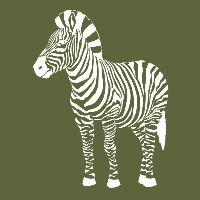 zebra