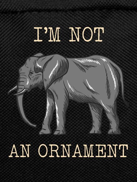 Elefant Tierschutz