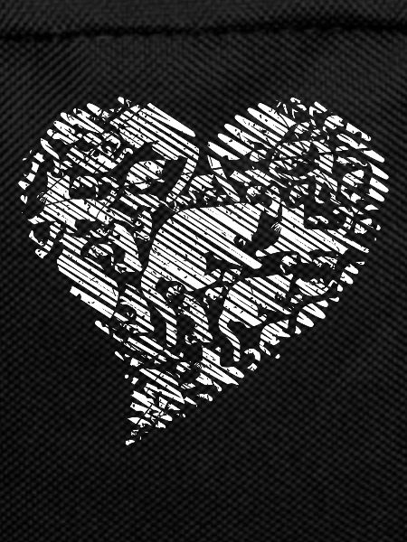 Cats in a heart