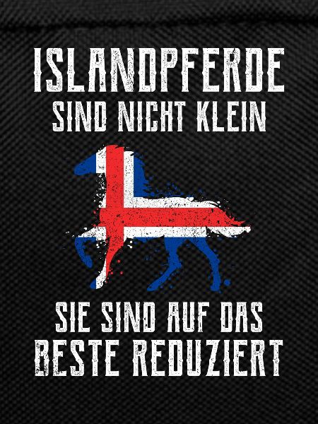 Islandpferd