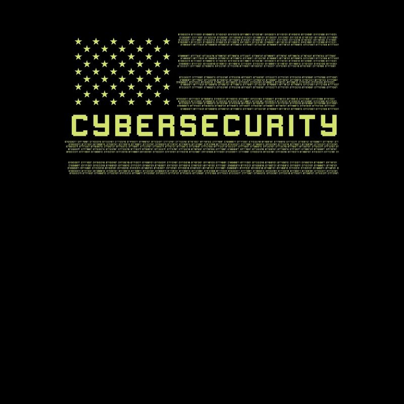 CYBERSECURITY Cybersecurity US Flag