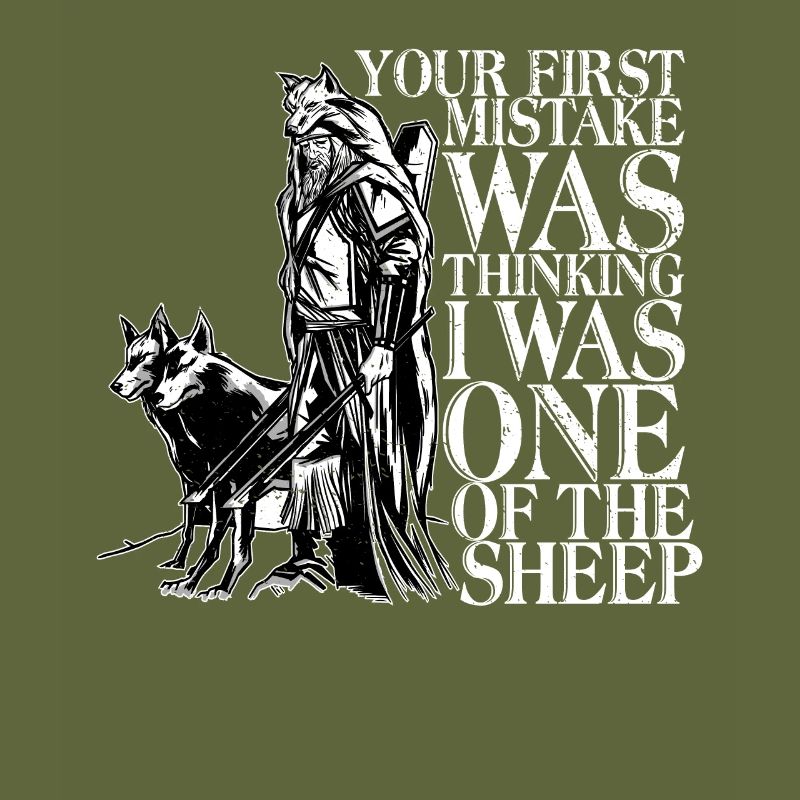 Cool sort vikings Valhalla Odin Thor