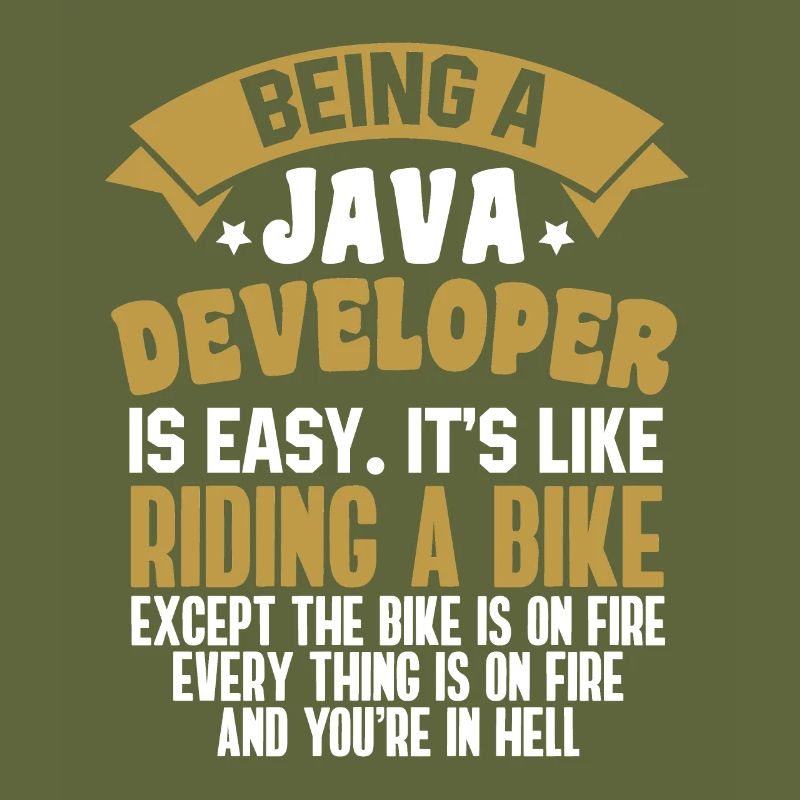 Java Developer