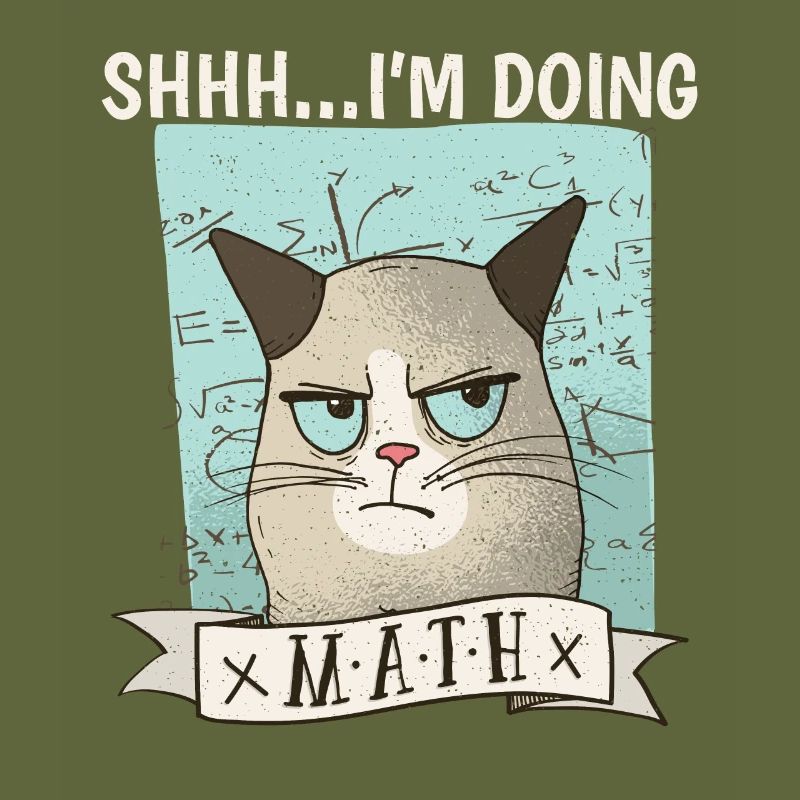 Shhh... I´m doing Math Cat