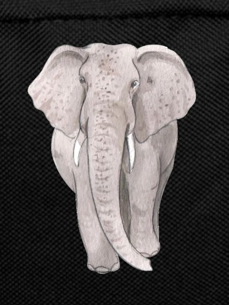 Grand éléphant