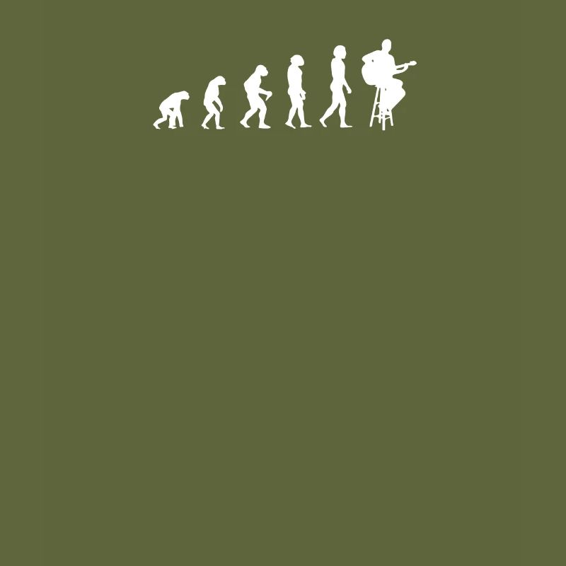 EVOLUTION DES GUITARISTES