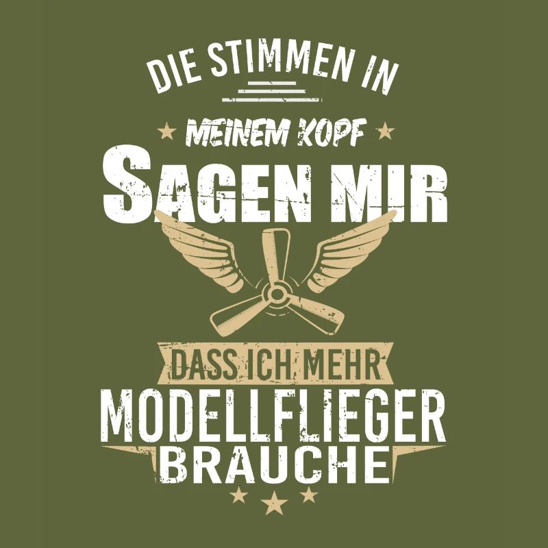 Modellbau Flugzeug Modellflug