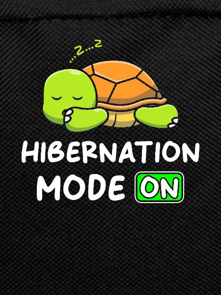 Hibernation Mode An with Turtle