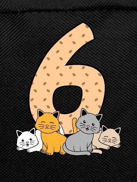 6ème anniversaire