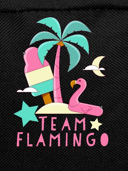 Équipe Flamingo