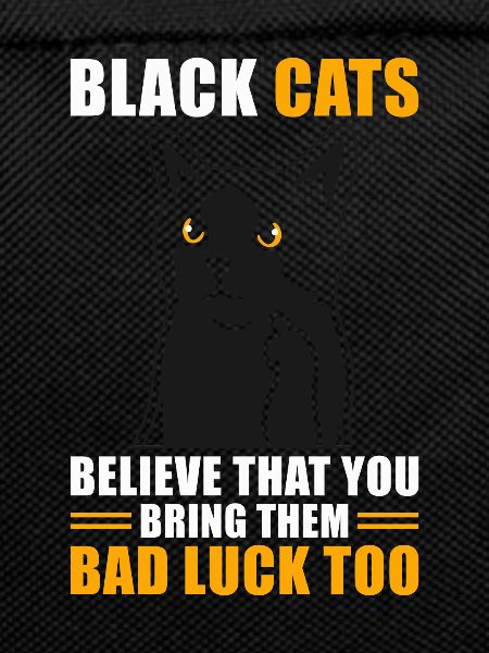 Superstition Chat Noir
