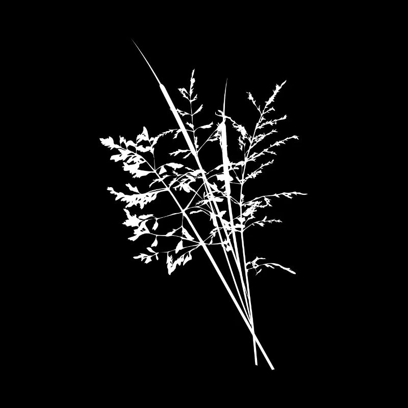 Wildblumen