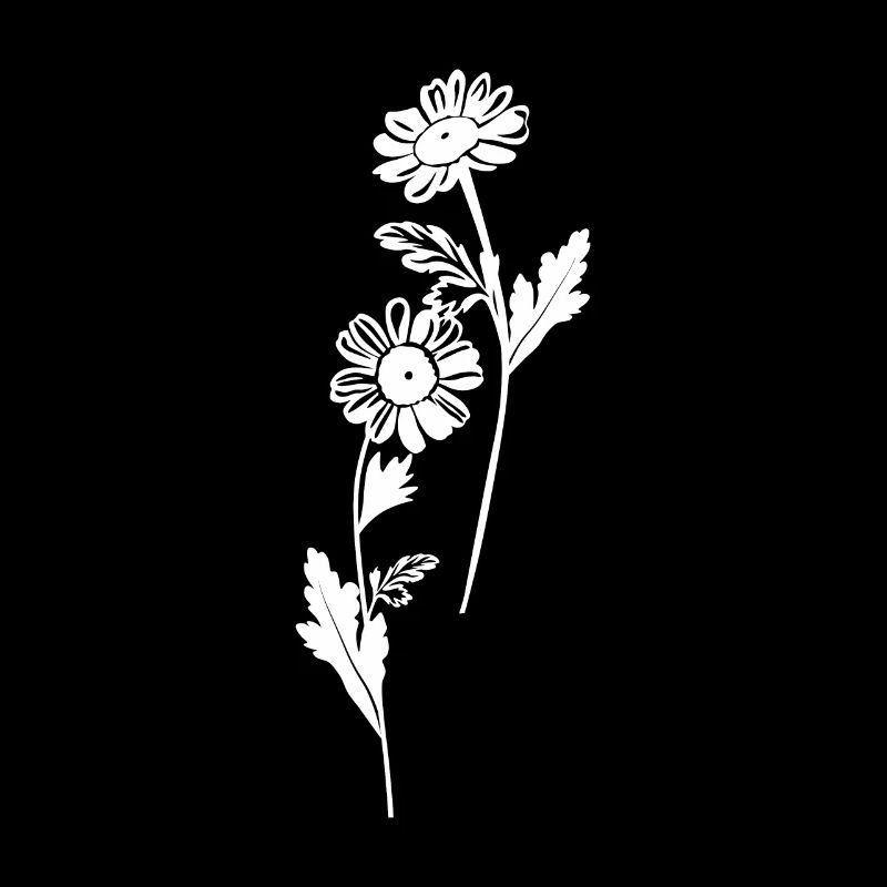 Wildflowers