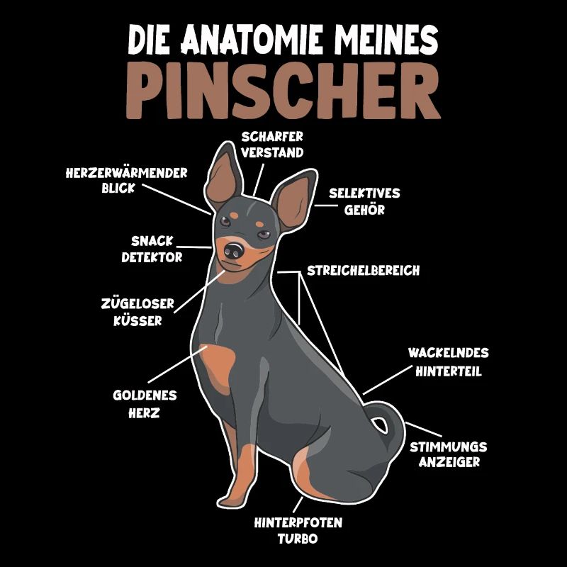 Pinscher Anatomie lustiges Hundehalter Gassi