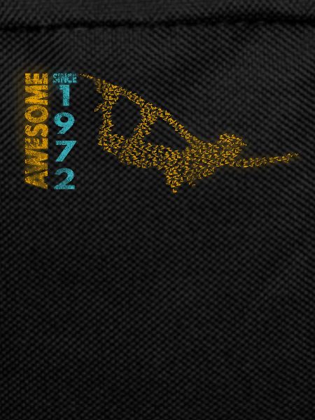 Awesome since 1972. Wakeboard Lifestyle