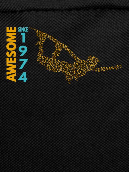 Awesome since 1974. Wakeboard Lifestyle