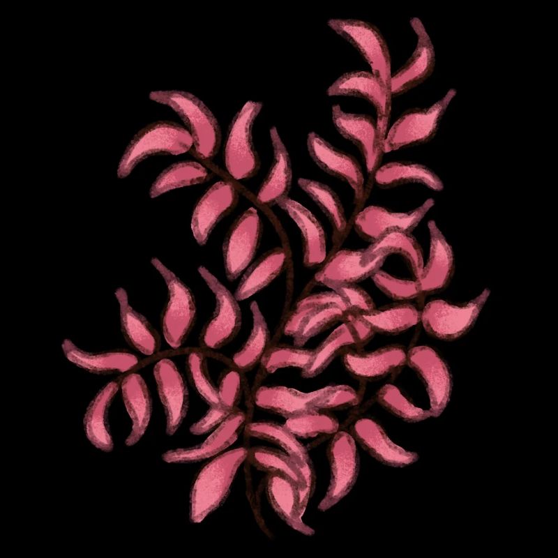 Rosa Pflanze