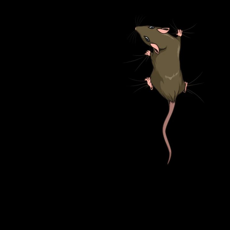 Rat owner - climbing rat