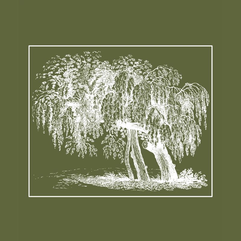 Baum