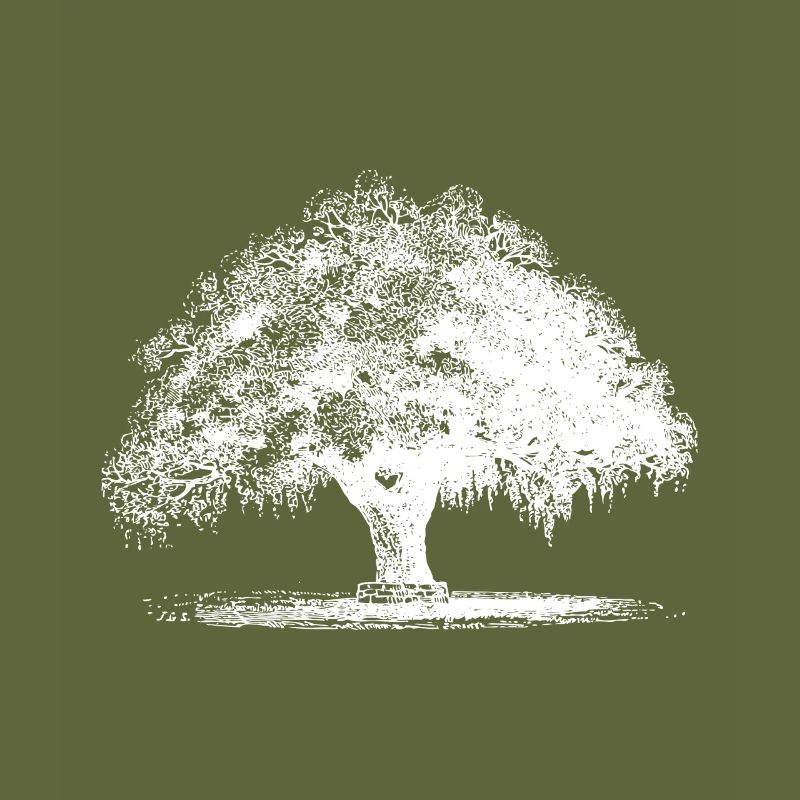 Baum