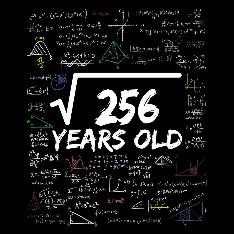 Square Root of 256 16TH Funny Math Birthday