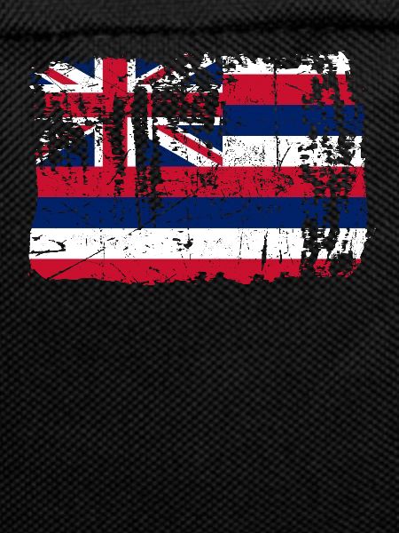 Hawaii house gift
