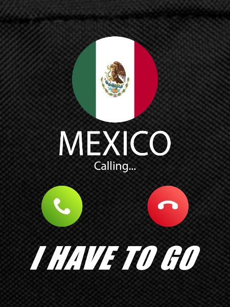 Mexico calls lusiger flags saying
