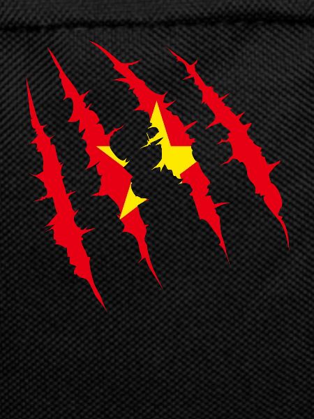 Conversations About Vietnam gift