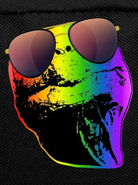 Turtle Sunglasses Turtles Rainbow