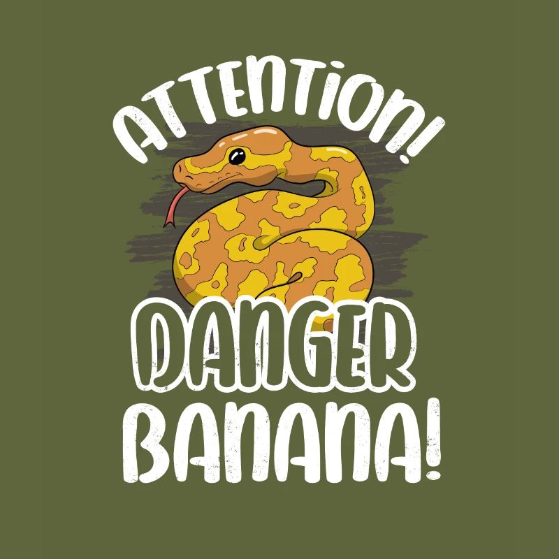 Banana Ball Python Herpétologiste Attention Danger