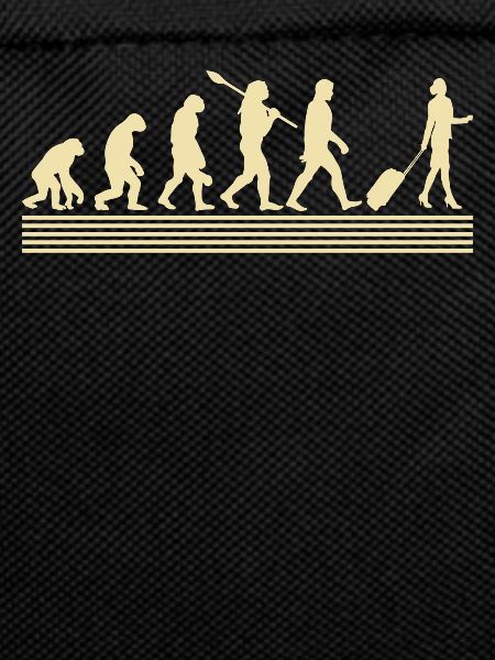 Stewardessen-evolution