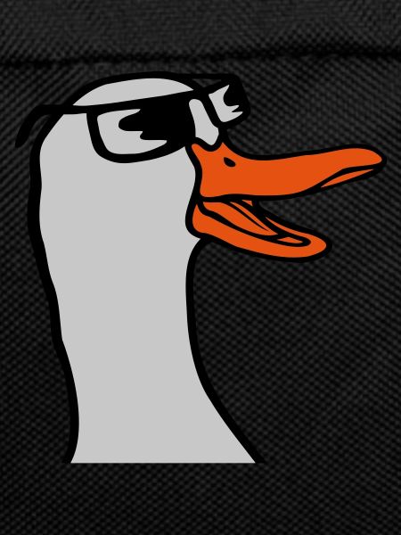 Face Sunglasses Goose Comic