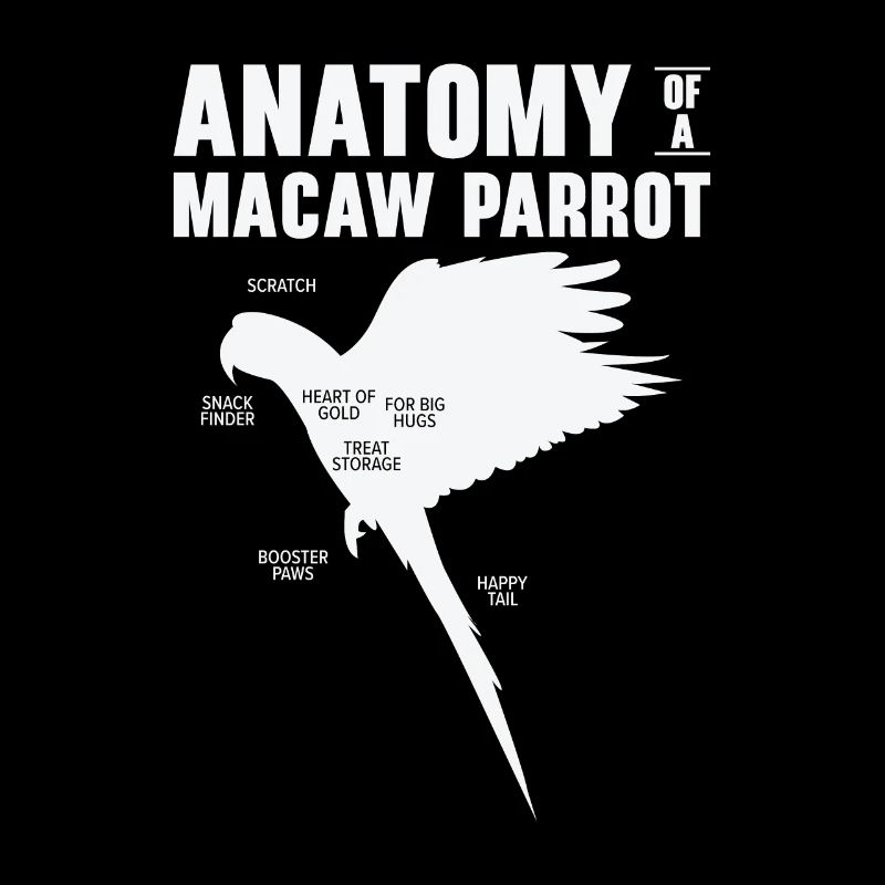Ara Anatomie Vogelbeobachtung Papagei