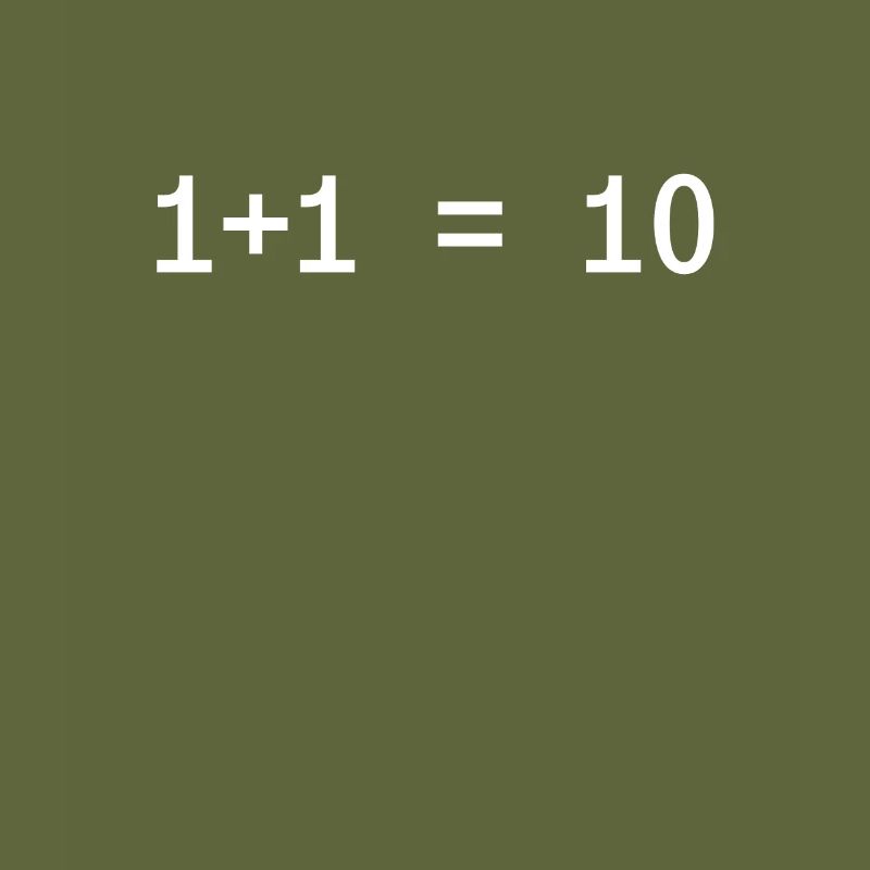 1 + 1 = 10 Funny Programmer Computer Science