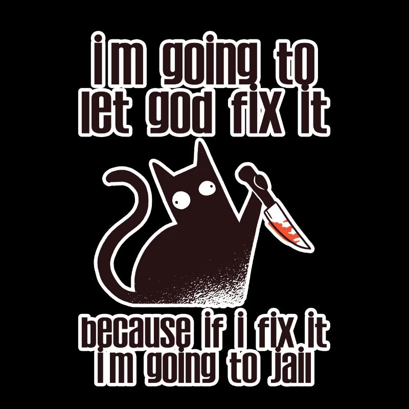 Because If I Fix It I'm Going To Jail 2