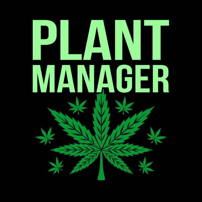Cannabis
