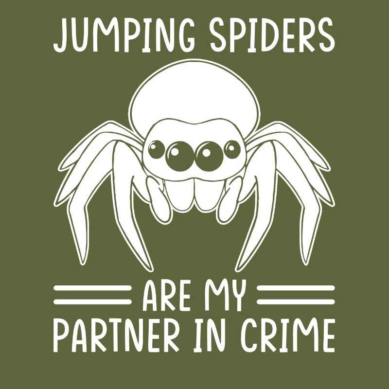 Dicton Jumping Spider