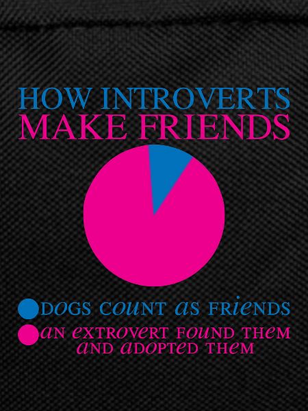 How Introverts Make Friends 2