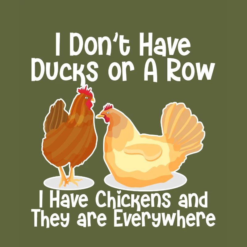 Je n’ai pas de canards ou une rangée, j’ai des poulets