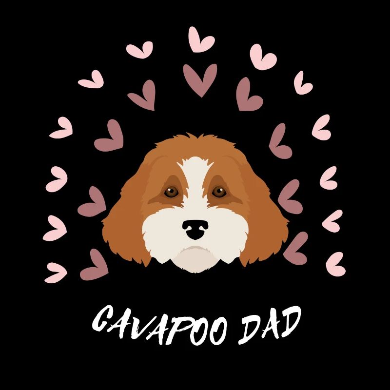 PAPA CAVAPOO. Beau chien mignon. Amoureux des chiens.