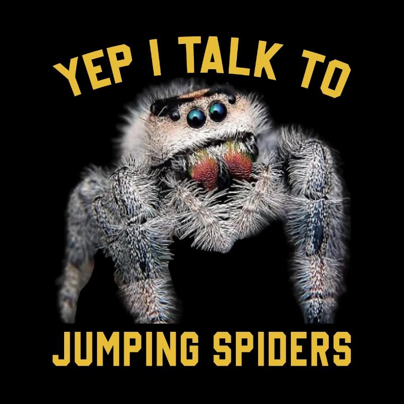 Pet Owners Jumping Spiders Collections