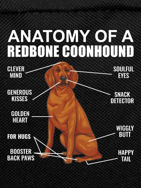 Redbone Coonhound Dog Gift