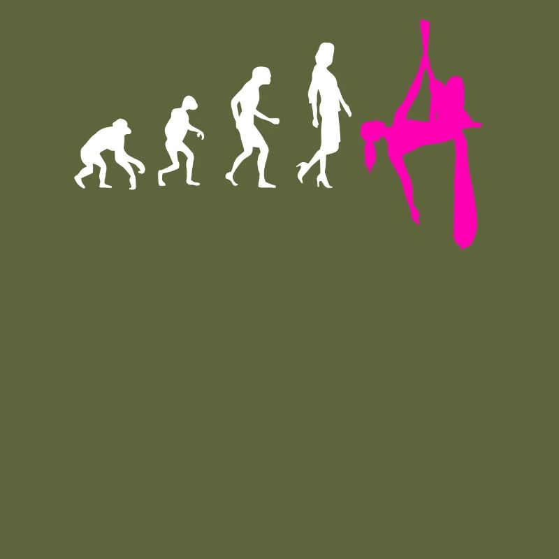 Aerial Silk Evolution - Aerial Circus
