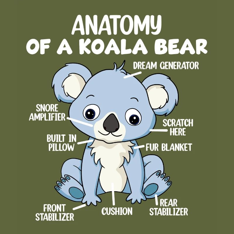 Anatomie eines Koala-Bären