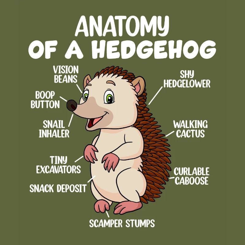 Anatomie d’un hérisson