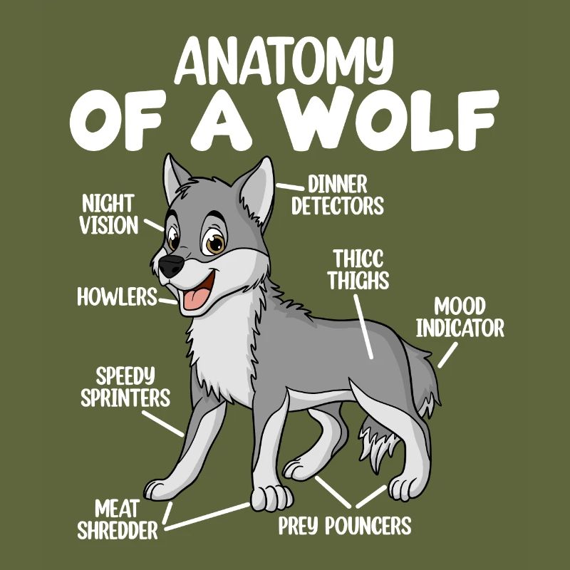 Anatomie eines Wolfes