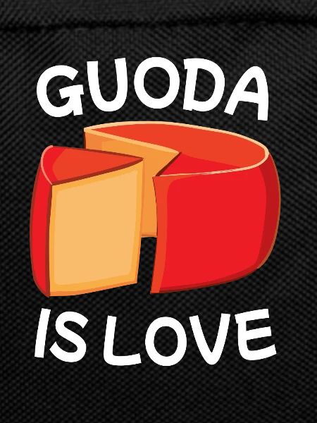 Gouda cheese piece