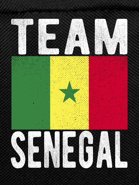 Senegal Flag